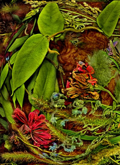 Otherworlds No. 113 by Antonius Antonius