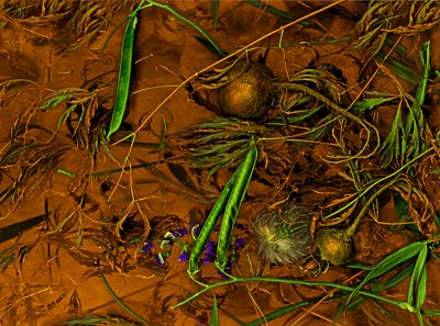 Earthart No.2, 2014 by Antonius Antonius