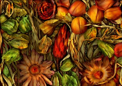 Magic Garden-Jungle 3, 2013 by Antonius Antonius