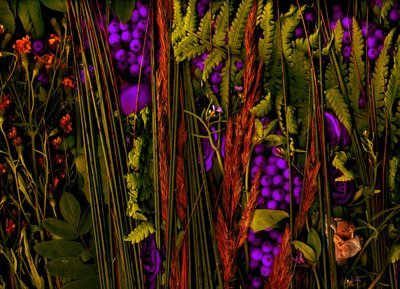 Magic Garden No.39-3, 2019 by Antonius Antonius