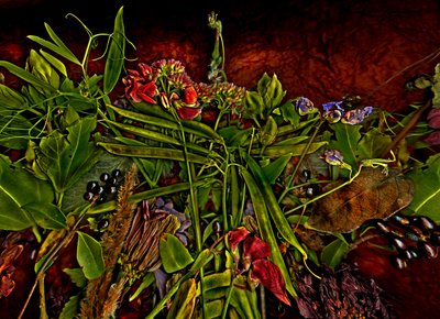 Still-life M 3, 2014 by Antonius Antonius