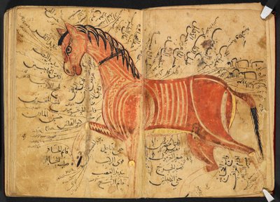 Horse, from 