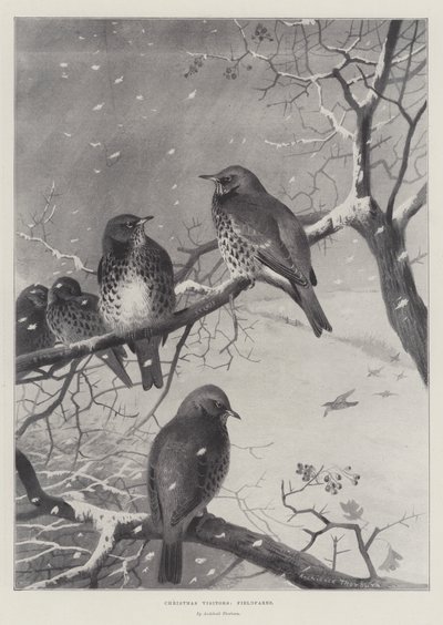 Christmas Visitors, Fieldfares by Archibald Thorburn