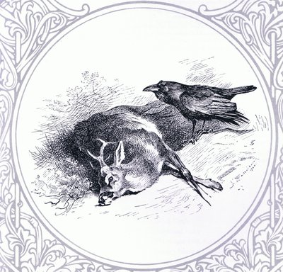 Deer and Raven, pub. by Book Club Associates by Archibald Thorburn