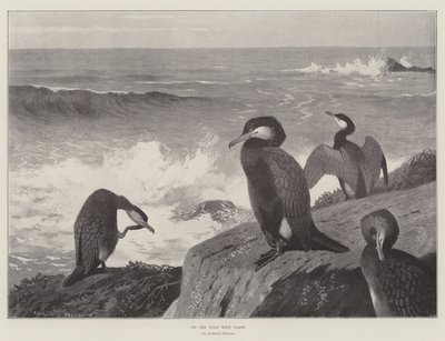 On the Wild West Coast by Archibald Thorburn