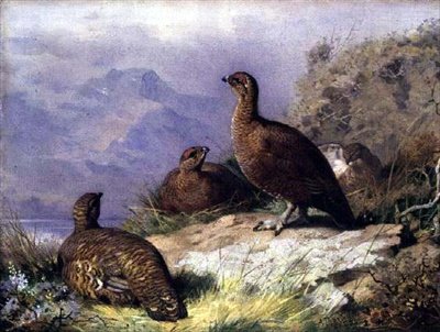 Red Grouse on the Shore of a Loch by Archibald Thorburn