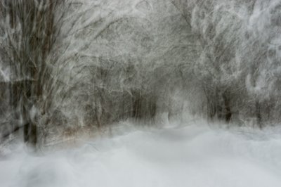 Dreamy Snowy Path by Arne Östlund