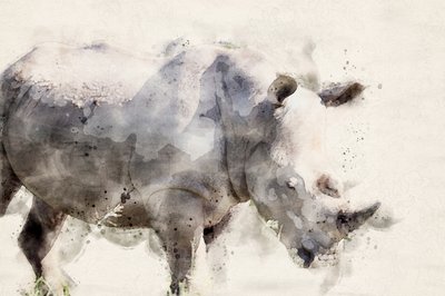 Graceful Watercolor Rhino by Arno Du Toit