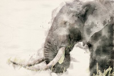 Peaceful Elephant Watercolor by Arno Du Toit