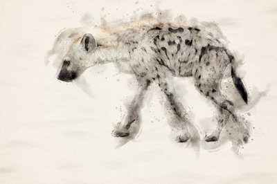 Spotted Hyena Watercolor by Arno Du Toit