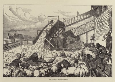 Pig-Driving in Cincinnati by Arthur Boyd Houghton