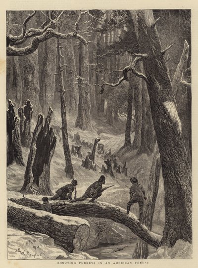 Shooting Turkeys in an American Forest by Arthur Boyd Houghton