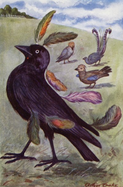 Aesop