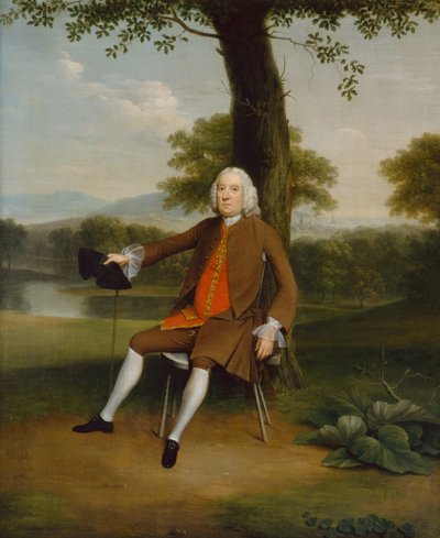 Portrait of a Gentleman Seated by Arthur Devis