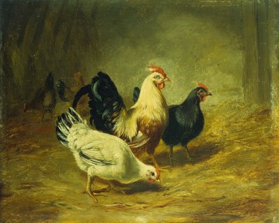Poultry Feeding by Arthur Fitzwilliam Tait