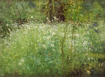 Oxeye Daisies and Irises by Arthur Hacker
