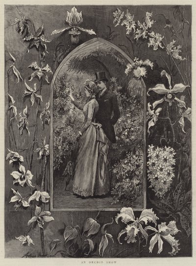 An Orchid Show by Arthur Hopkins