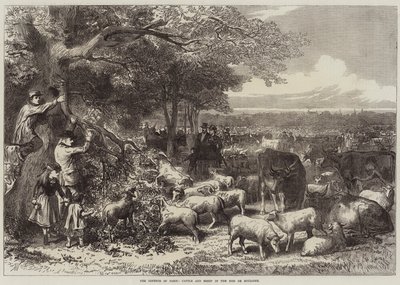 The Defence of Paris, Cattle and Sheep in the Bois de Boulogne by Arthur Hopkins