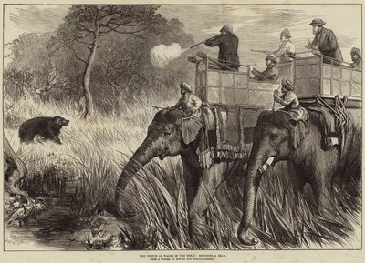 The Prince of Wales in the Terai, shooting a Bear by Arthur Hopkins