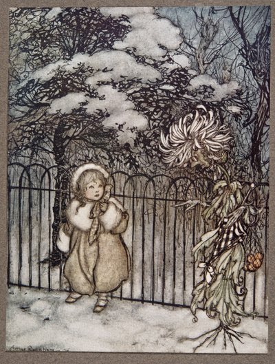 A chrysanthemum heard her, and said pointedly, Hoity-toity, what is this?, from Peter Pan in Kensington Gardens by J.M. Barrie, pub. 1906 by Arthur Rackham