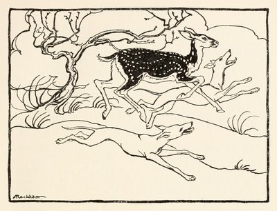 Becfola in her chariot from The Wooing of Becfola in Irish Fairy Tales by Arthur Rackham