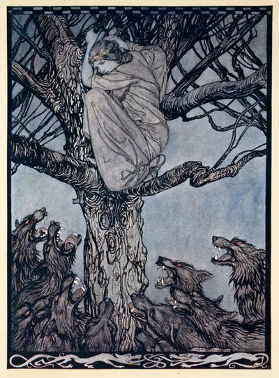 She looked with angry woe at the straining and snarling horde below, illustration from 