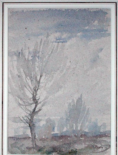 Study of a Tree by Arthur Rackham