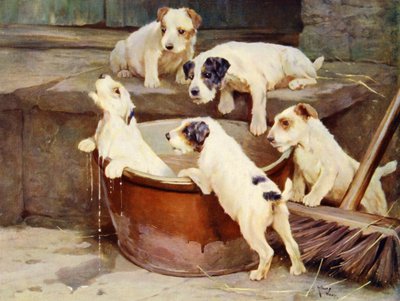 The Order of the Bath - puppies washing by Arthur Twidle