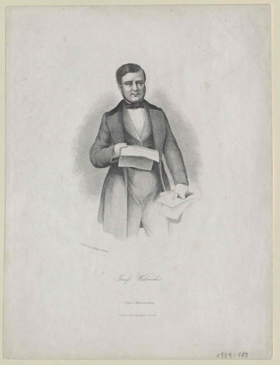 Alexandre Count Walewski by Artist Unknown