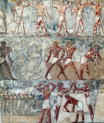 Art Egypt: Agricultural Scene, 6th Dynasty by Artist Unknown