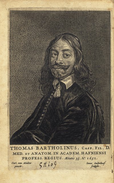 Thomas Bartholin (1616-1680). Danish Physician, Mathematician, and Theologian. Known for His Work in the Discovery of the Lymphatic System in Humans and for His Advancements of the Theory of Refrigeration Anesthesia by Artist Unknown