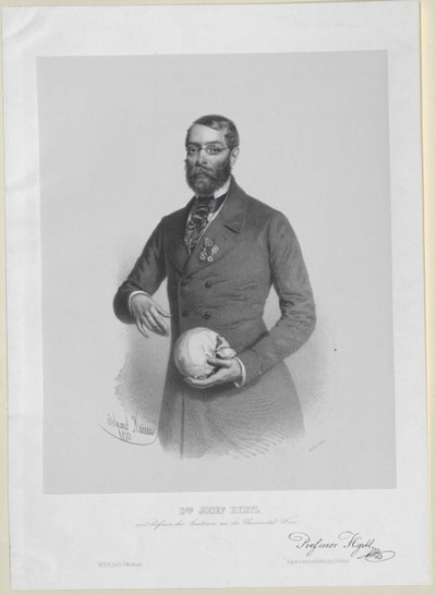 Joseph Hyrtl by Artist Unknown