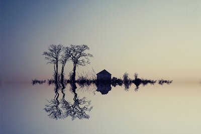 Serene Water Reflection by Asef Azimaie