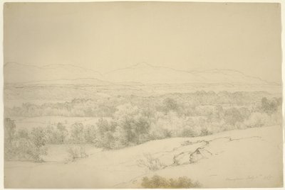 Landscape, Barrytown, New York, 1865 by Asher Brown Durand