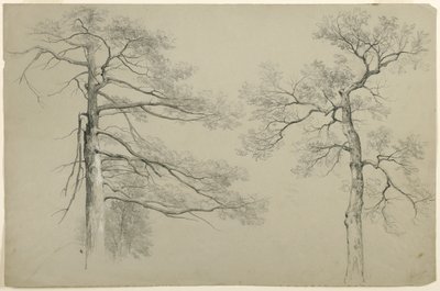 Study of Two Trees, Hague, Lake George, New York by Asher Brown Durand