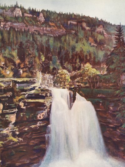 France: Le Saut Du Doubs by Auguste Gerardin