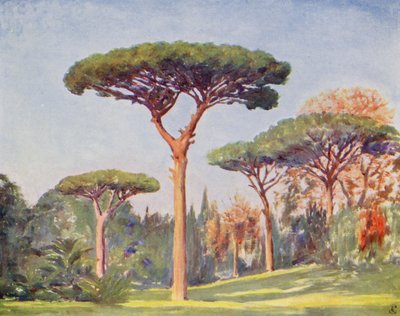 Rock Pines, Villa Floridiana by Augustine Fitzgerald