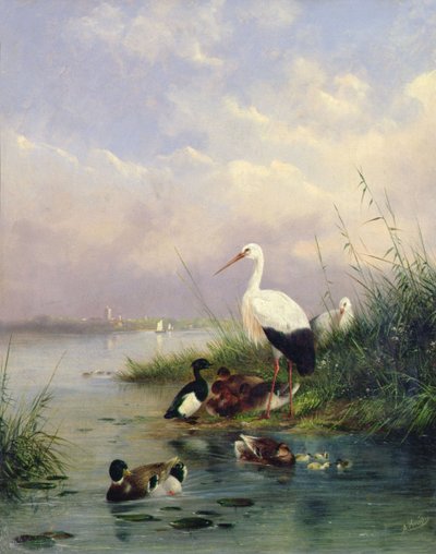 A Family of Mallard, Two Storks and a Family of Tufted Ducks by Augustus Knip