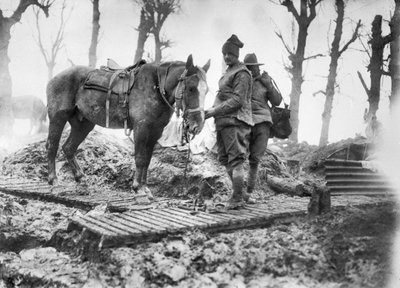 An Artillery Horse Used for Transporting Ammunition to the Guns and Its Unidentified Australian Driver on a Duckboard Track Between Mametz and Montauban, December 1916 by Australian Photographer