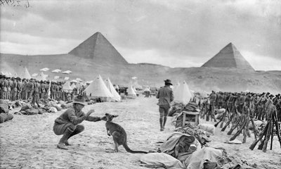 Lines of the Australian 9th and 10th Battalions at Mena Camp, Looking Towards the Pyramids, December 1914 by Australian Photographer