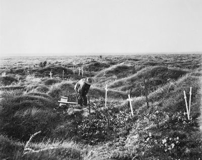 View of scattered Australian graves along the OG1 line on the battlefield of Pozieres, 16 September 1917 by Australian Photographer