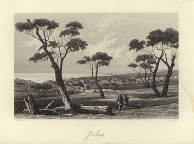 Geelong by Australian School