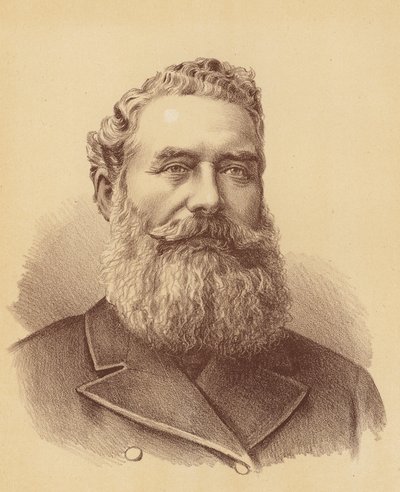 The Honourable James White by Australian School