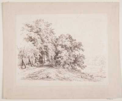 The Path by Trees and Meadows by Axel Schovelin