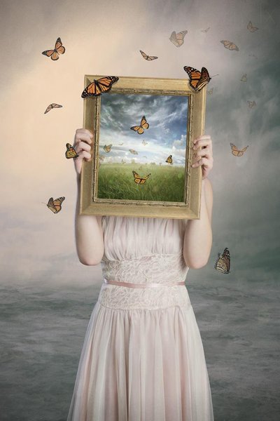 Butterflies Dreamscape Frame by Baden Bowen
