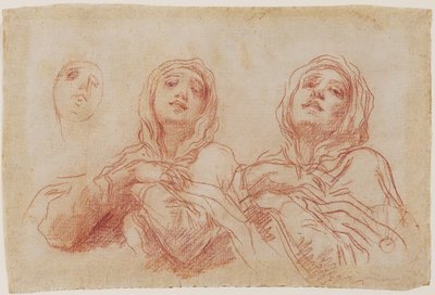 Studies for the Head of the Virgin by Baldassare Franceschini