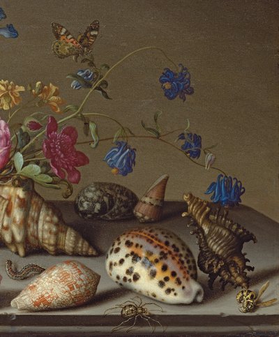 Flowers, Shells and Insects on a Stone Ledge by Balthasar van der Ast
