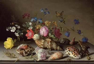 Flowers, Shells and Insects on a Stone Ledge by Balthasar van der Ast
