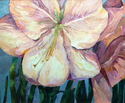 Amaryllis 1 by Barbara Cleary