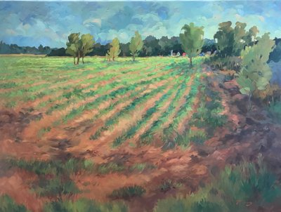 Early Morning by Barbara Cleary